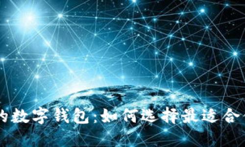能赚钱的数字钱包：如何选择最适合你的平台