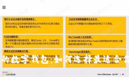 能赚钱的数字钱包：如何选择最适合你的平台