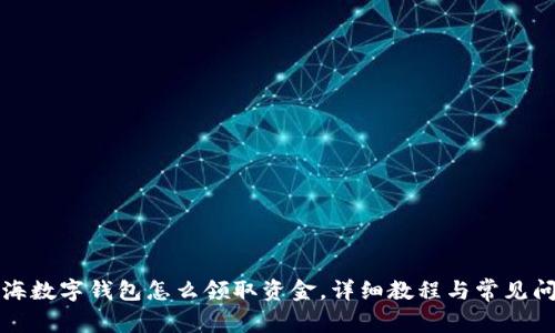 上海数字钱包怎么领取资金，详细教程与常见问题