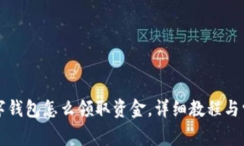 上海数字钱包怎么领取资金，详细教程与常见问题