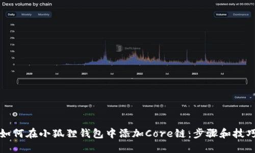 如何在小狐狸钱包中添加Core链：步骤和技巧
