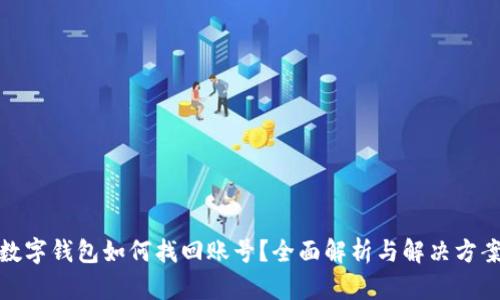 数字钱包如何找回账号？全面解析与解决方案
