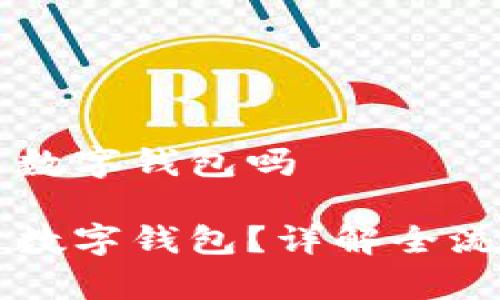 公司可以开通数字钱包吗

公司如何开通数字钱包？详解全流程与注意事项