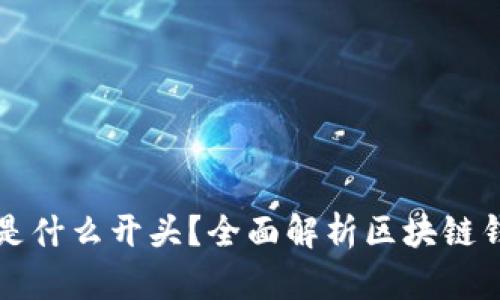 区块链钱包编码是什么开头？全面解析区块链钱包体验与安全性