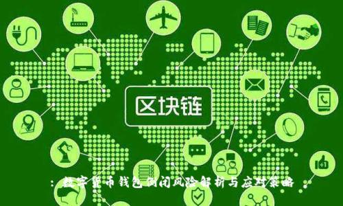 : 数字货币钱包倒闭风险解析与应对策略