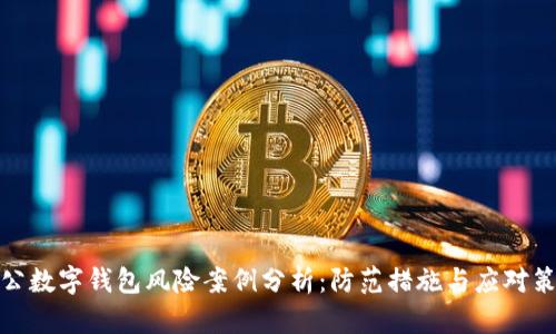 对公数字钱包风险案例分析：防范措施与应对策略