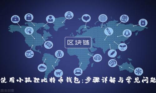 如何使用小狐狸比特币钱包：步骤详解与常见问题解答