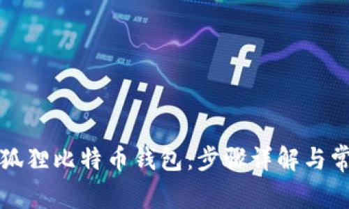 如何使用小狐狸比特币钱包：步骤详解与常见问题解答