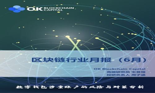  数字钱包涉案账户的风险与对策分析