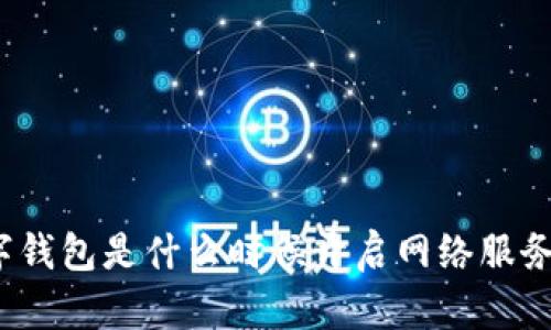 数字钱包是什么时候开启网络服务的？
