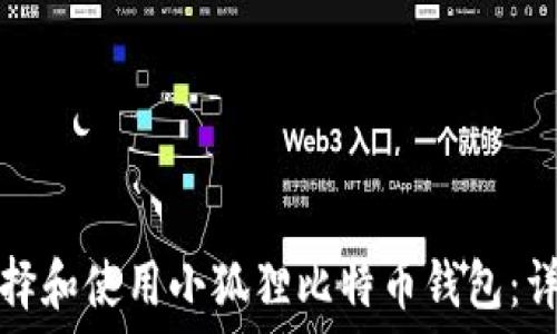   
如何选择和使用小狐狸比特币钱包：详尽指南