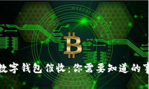 数字钱包催收：你需要知道的事