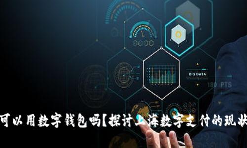 : 上海可以用数字钱包吗？探讨上海数字支付的现状与未来