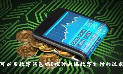 : 上海可以用数字钱包吗？探讨上海数字支付的现状与未来
