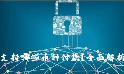 小狐狸钱包支持哪些币种付款？全面解析与使用指南