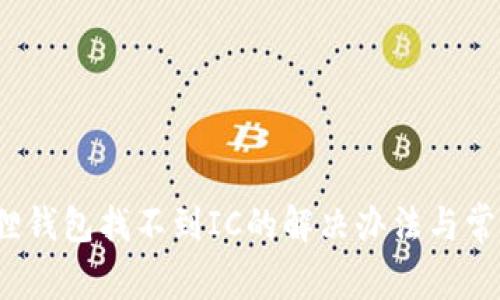  小狐狸钱包找不到IC的解决办法与常见问题