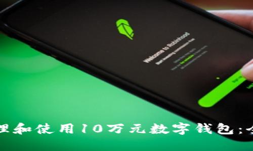 如何管理和使用10万元数字钱包：全面指南