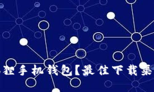 哪里下载小狐狸手机钱包？最佳下载渠道与使用技巧