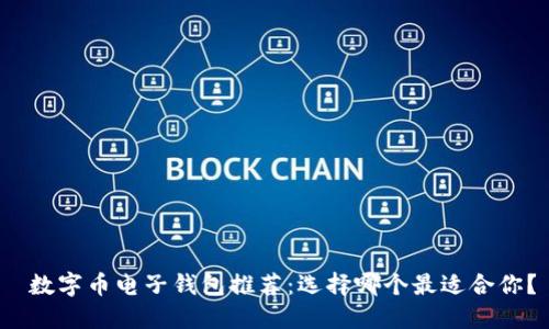  数字币电子钱包推荐：选择哪个最适合你？